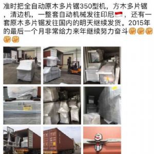 2017年發(fā)貨國外rn400-250型原木多片鋸生產(chǎn)線 ，鋸木機(jī)生產(chǎn)線