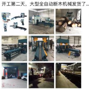 2017年發(fā)貨國內(nèi)250型原木斷木機(jī)生產(chǎn)線 圓木截木機(jī)，鋸木機(jī)生