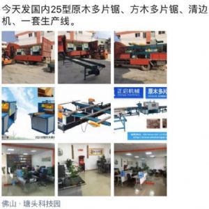 2017年3月發(fā)貨國內(nèi)250型原木多片鋸生產(chǎn)線 圓木多片鋸，方木多